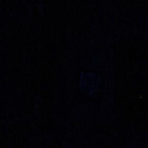 Meet your Posher, Ava